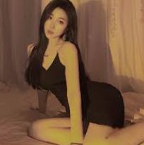 介绍